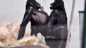 Endlich Liebe statt Hiebe