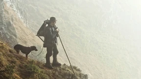 Wild im verwalteten Wald