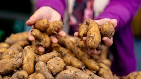 Kartoffeln kosten mehr