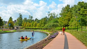 Der grüne Traum des Öl-Milliardärs