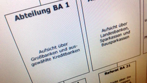 Die Banken-Kontrolleurin im Verborgenen 