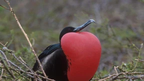Hilfskräfte für die Wetterforschung