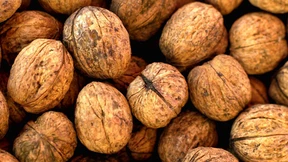 Pflanzenfett bremst Alzheimer-Proteine