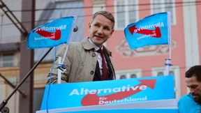 Warum die AfD ein Fall für den Verfassungsschutz sein könnte
