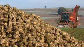 EU-Staaten einigen sich auf Agrarreform