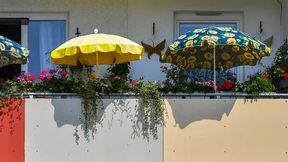 Was Sie über den Streit wissen müssen