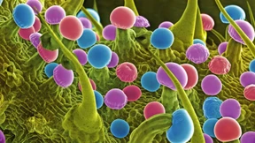 Kontrollierte Abschiede vom Ich