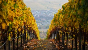 ... in dem ich merkte, dass ich immer noch Dorfkind bin