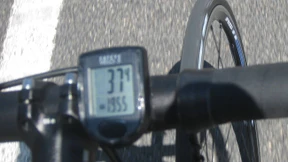 Quantifizier Dich, Du Sau!