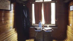 Erlenwälder zwischen Zürich und Sassnitz