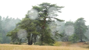 Es wird nass, stürmisch und hoch oben weiß