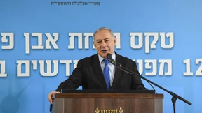 Der unterdrückte Sonnenkönig