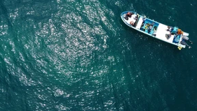 Tierschutz im Naturparadies