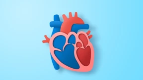 Was minimalinvasive Verfahren heute können