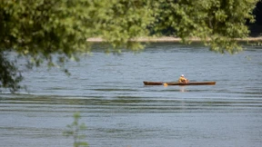 Vogelschutz bremst Wassersportler aus