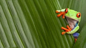 Auf dem Sprung ins digitale Zeitalter