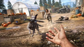 Strolch ohne Susi, dafür mit Kawumm