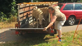 Mercedes-Ingenieur sucht Anhängerkupplung