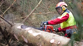 Waldarbeitern wird Motorsäge bald gestellt