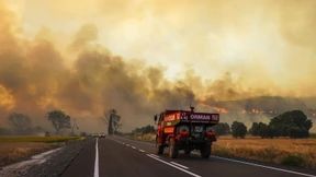 Mindestens fünf Tote und Dutzende Verletzte bei Waldbränden