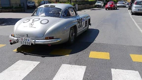 Der Kampf des Bundesrates gegen Naturgesetze und Intelligenz