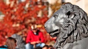 Von Sparplan zu Sparplan