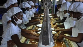 Mit Smartphones harte Nüsse knacken