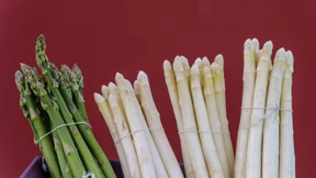 Auch beim Spargel ist Grün die Farbe der Hoffnung