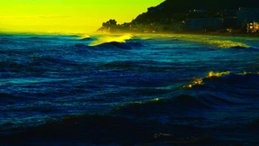 Im wirren Wind der Reisen