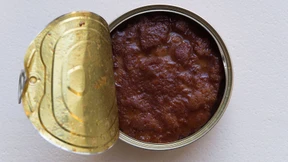 Volksverhetzung auf Katzenfutterdosen