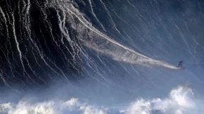 Steudtner und der Ritt auf dem Ungeheuer