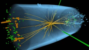 Bis unten hin alles voller Schildkröten