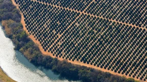 Afrika hat keine Zeit