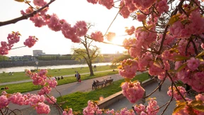 Frühsommer verabschiedet sich mit Blitz und Donner