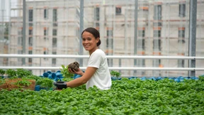 Kräuter und Fische vom Supermarkt-Dach