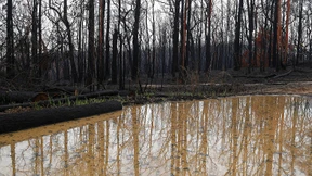 Australien kämpft mit Überschwemmungen