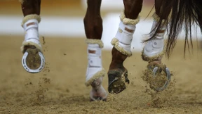 15 Jahre Sperre für US-Dressurreiter