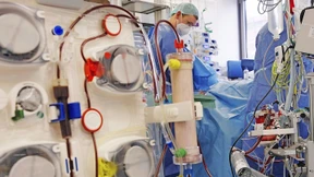 Zwischen Leben und Tod