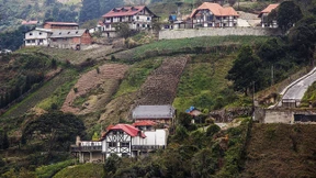 Schwarzwald in den Tropen
