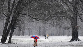 Skifahren im Englischen Garten