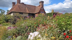 „Intensives Gärtnern gibt neuen Arten eine Chance“