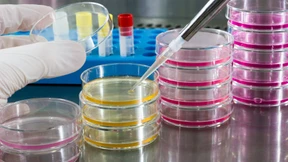 Die Mischung macht‘s