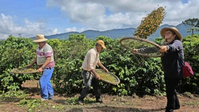 Wie fair ist Fairtrade wirklich?