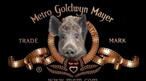 Lustiges über das „Löwenschwein“