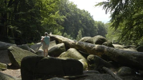 Vermitteln und schützen