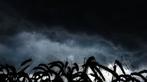 Warnstufe Rot in Frankfurt