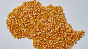 Wie kommt der Traktor nach Afrika?