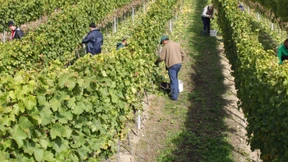 Ein Herbst ohne Hektik 