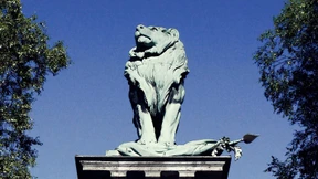 Der nette völkische, hassmobbende Nationalist aus Schottland