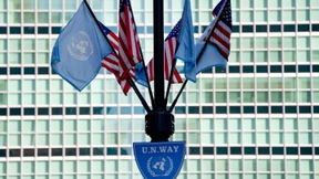 Ein Kamm für alle Fälle